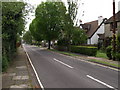 Andover - Humberstone Road from Winchester Road in SP10 2EQ