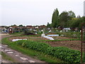 Andover - Barlow's Lane allotments in early May in SP11 7LW