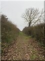 Footpath in Ryhall & Casterton Ward