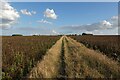 Bridleway from Hilton in PE28 9NB