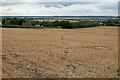 Footpath through harvested wheat field, Canewdon in SS4 3RA