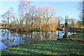 Large pond by Common Water Lane in DT8 3ST