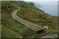 Trevangan Cliff Boardwalk on the South West Coastal Footpath in TR26 3AE