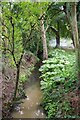 Stream by Fishponds Hill in CO6 4DE