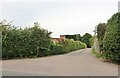 Track to Bybrook Lodge Farm, Cropston in Cropston