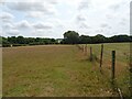 Fence line off the B2067 in TN26 3TJ