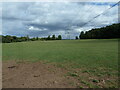 Grass field with electricity pylon near Dunstall in DE13 8BA