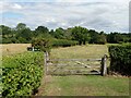 Countryside north of Titcomb Farm in RG17 9SP
