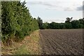 Recently tilled field, Rectory Farm, Ashingdon in SS4 3LW