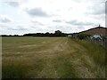 Cut silage field, Stubb's Cross in TN26 1HN