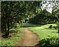 Footpath across Rushmere Common in IP4 5NY