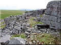 Walydd o fewn brigiad creigiog / Walls within a rocky outcrop in SA9 1XU