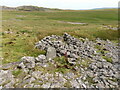 Hen ffald / Old sheepfold in SA9 1XU