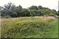 Portingbury Hills, Hatfield Forest - site view in CM22 6NB