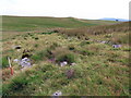 Gweddillion strwythur hirsgwar / Remains of a rectangular structure in SA9 1XU