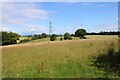 Field beside Pilmuir Road in G77 5UZ