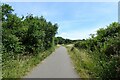Cycle path near Quentance Farm in EX8 5BR