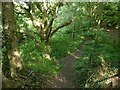 Footpath into Bestwood Country Park in NG15 7EZ