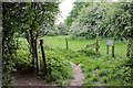 The Mark Way crosses footpath on West Down, Chilbolton in SO20 6AX