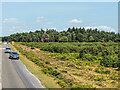 New Forest scrubland in SO41 5RN