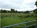 Long field of rough grazing for sheep above the Ceiriog Valley in LL20 7DB