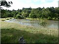 Manmade pond beside the lane in Llansantffraid Glyn Ceiriog Community