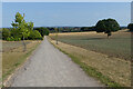 Track and farmland, Cookham in SL6 9EE