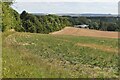 Field edge in the Kennet Valley above Hungerford in RG17 0EP