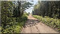 Bridleway near Crown Farm in IP16 4JT