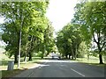 The Packway, a tree-lined road at Larkhill Camp in SP4 8PB