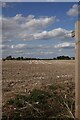 Footpath over harvested field, Canewdon in SS4 2DF
