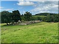 Kilmadock Ancient Burial Ground in FK16 6AL