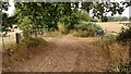 Bridleway beneath trees, near Tower Farm in SP5 2EX