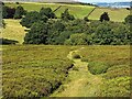 Footpath on Shaw Moor in SK13 8LJ