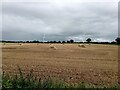 Wind turbines and straw bales near Barmer in Bircham with Rudhams Ward