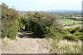 Path descending from Swallow Cliff in BS22 9UG