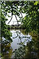 Pond Near Beckingham Hall in CM9 8FD