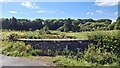 Bridge over the Watstone Burn, near Stonehouse in ML9 3EY