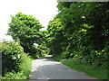 Minor road at Coed Ffridd-las woodland in LL57 1HJ
