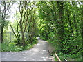 Path between the Maesgeirchen Housing Estate and the Llandygai Industrial Estate in LL57 1HJ