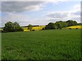 Farmland near Thruxton in SP11 8PR
