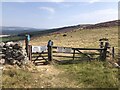 Gate, Corsedardar Hill in AB31 6NW