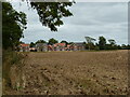 Stubble field and new housing, Kirton in PE20 1PY