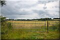 Wembworthy : Grassy Field & Gate in EX18 7SA