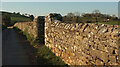 Wall by Old Rectory Farm in TQ12 6ED