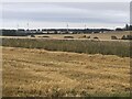Barley harvest, Tillynaught in AB45 2YR