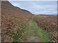 Path towards Ormaig, Ulva in PA73 6LZ