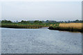 Inlet, River Waveney in NR31 9NW