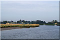 River Waveney above Burgh Castle Marina in NR31 9NW