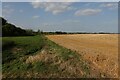Field on the edge of Benwick in PE15 0YQ